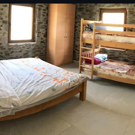 Sylbica * Polisi i Vogel