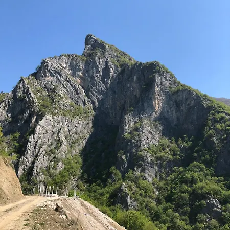 Sylbica Polisi i Vogel