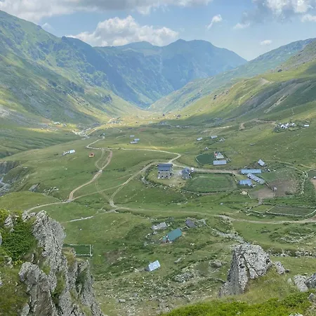 Sylbica Polisi i Vogel